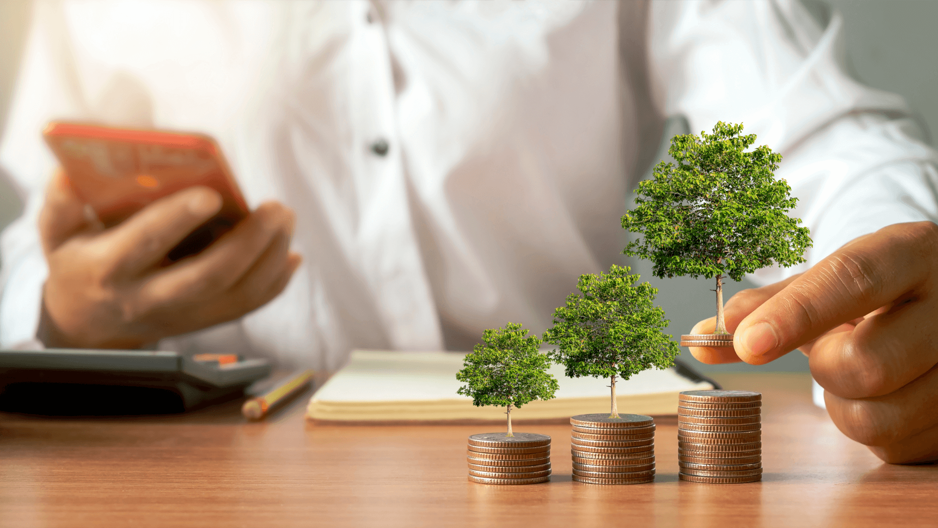 Small business growth and financial investment options