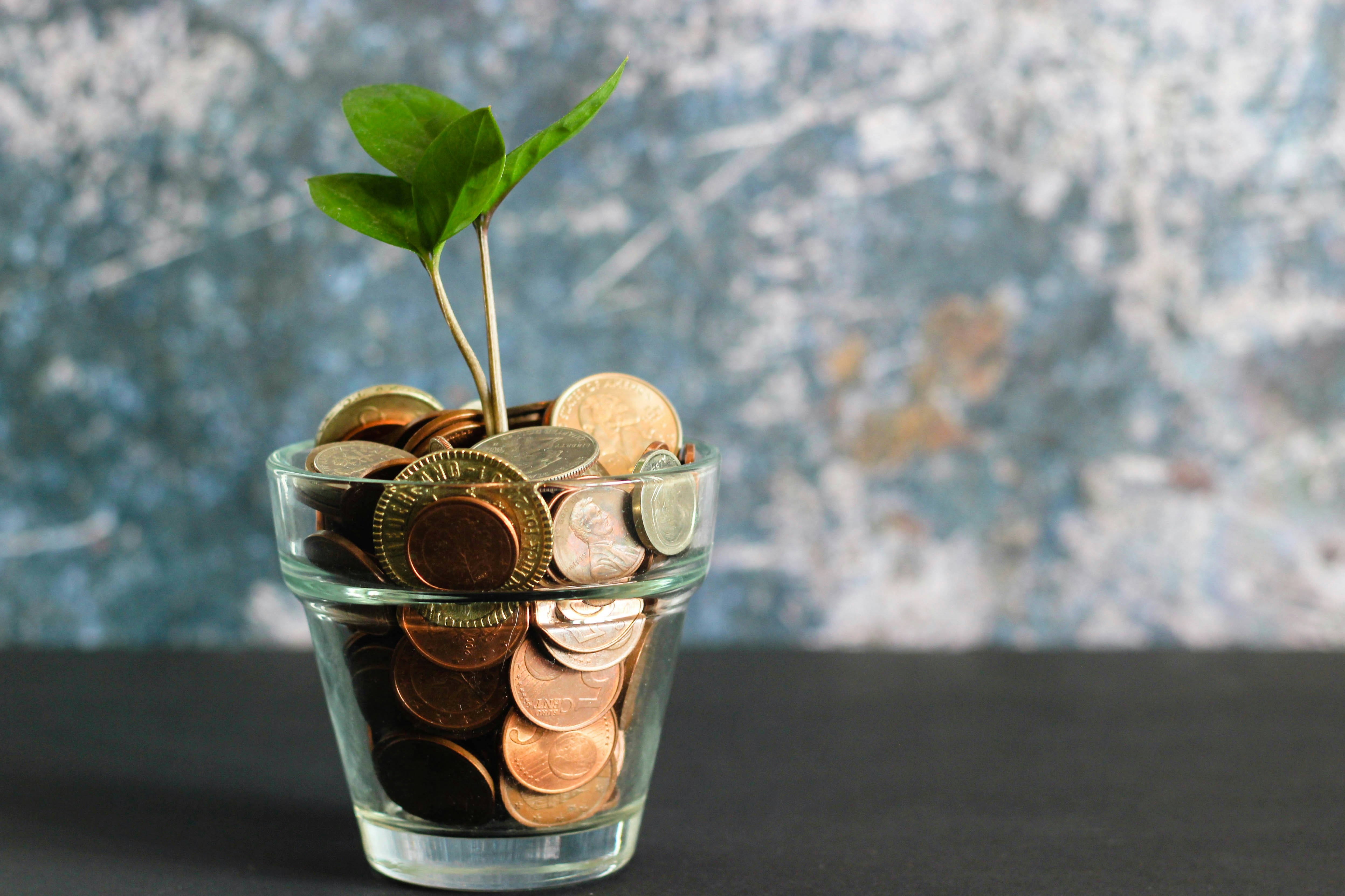Family Regular Savings
